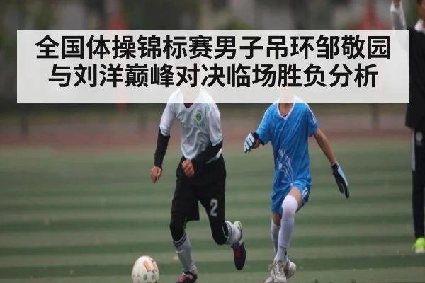 全国体操锦标赛男子吊环邹敬园与刘洋巅峰对决临场胜负分析 - c7c7.app